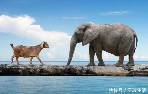 为什么他把阿托伐他汀,换成瑞舒伐他汀?因为药物之间会“打架”