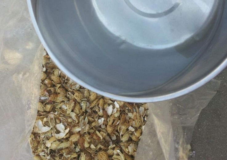 换盆加点坚果壳,提前这么弄,养花土变排水性好,肥力十足