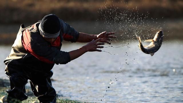 饵料|鲤鱼如此狡猾,垂钓时的几个细节不能忽略!