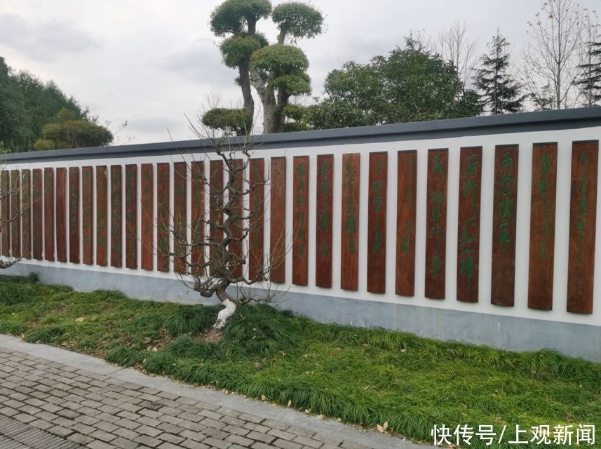 错过|快来一起赏“梅”景！去年没约成，今年别错过啦