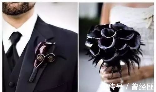 盘点:20种世界上最黑的花,黑的美,黑的妙,黑的呱呱叫