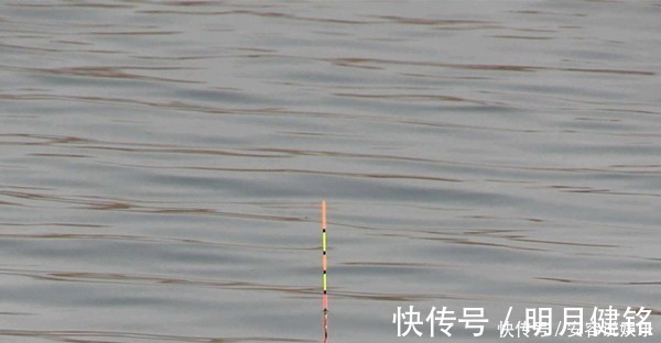 冬季钓鲫鱼，调漂不可追求灵敏，用这两种调漂方法，顿口更清晰！