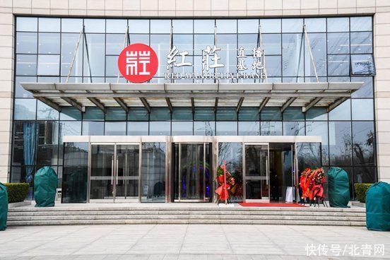 激活|朝阳丨国家文创实验区直播新业态激活消费新动能