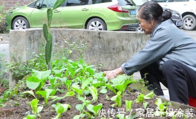 长寿|108岁老人看起来80岁，腿脚利索！长寿秘诀有4点，大家都能学会！