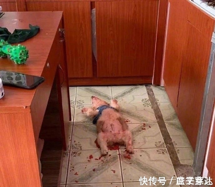 “不懂就问，女孩子的脚上戴这个是什么意思啊”单纯为了看吗