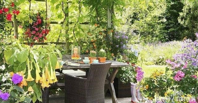 花架|如何打造漂亮阳台新颖“花架”,打造您的私人花园!