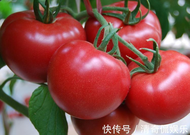 排毒养颜|西红柿和此物一起吃,每天一杯,血管通了,皮肤白了,子宫更干净