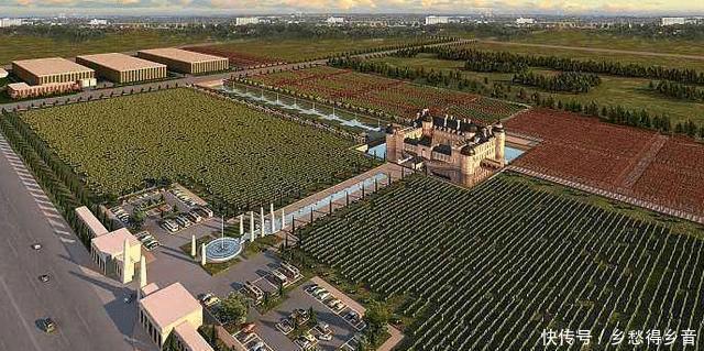 上头|老酒友喜欢的3款特产酒,价低好喝不上头,你喝过吗