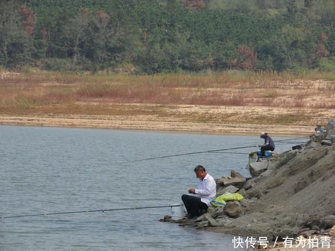 爆发力|盛夏野钓鲢鳙三步走,黑漂一个连一个,让你提竿到手抖