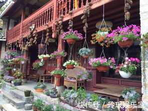 做一枚植物系青年到底有多快乐跟着小编去养养眼吧!