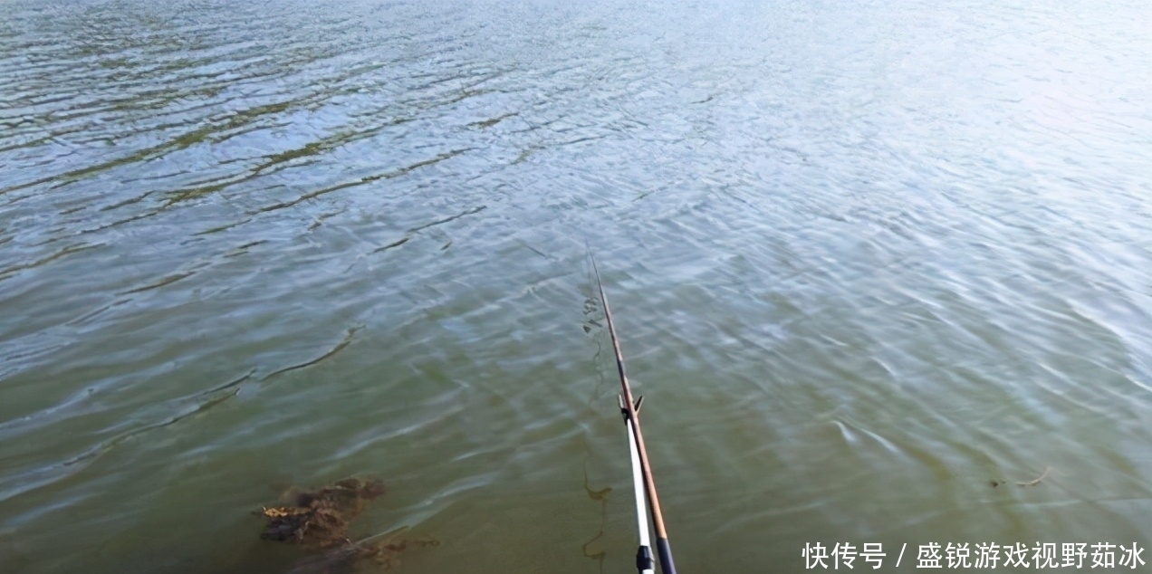 钓鲫鱼,我这样选配鱼线