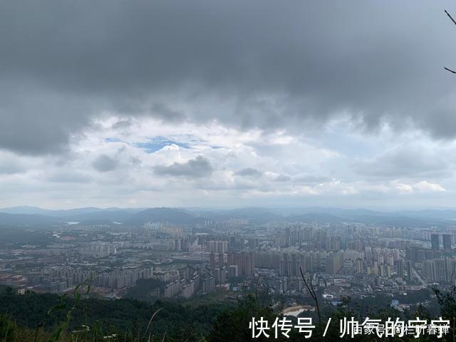 秋韵#【七绝·秋韵】清风伴我不孤行,晨起轩窗有鸟鸣