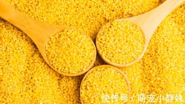 大黄米|秋天,别错过这零食,比吃面包强,几块钱做一盘,香甜软糯不粘牙