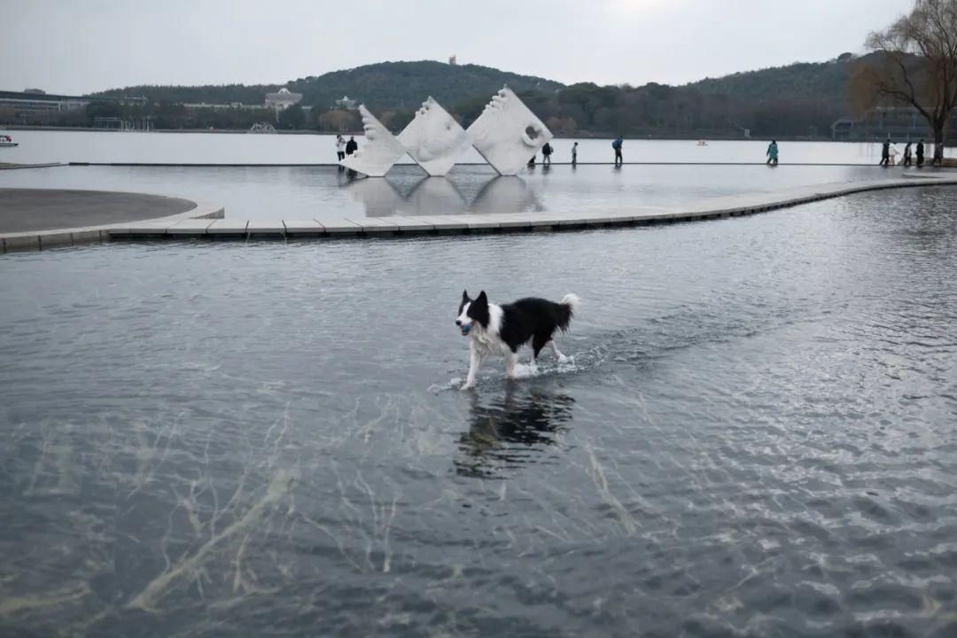 老年|留松过大年丨松江这些红红火火的地方，你去打卡了吗？