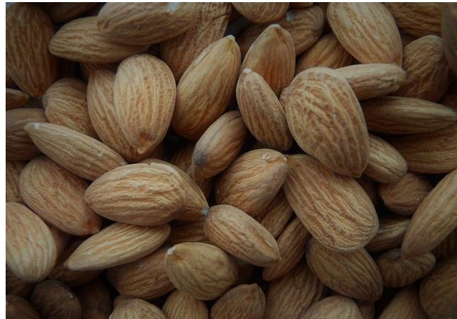 铁皮石斛|45岁后的女人别太节俭,5种零食日常吃点,或能补充雌激素