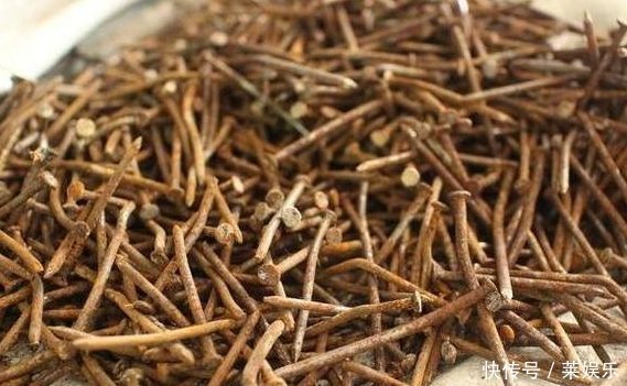 老婆用装修时剩下的“小东西”,埋在花盆里面,花就没有黄过叶