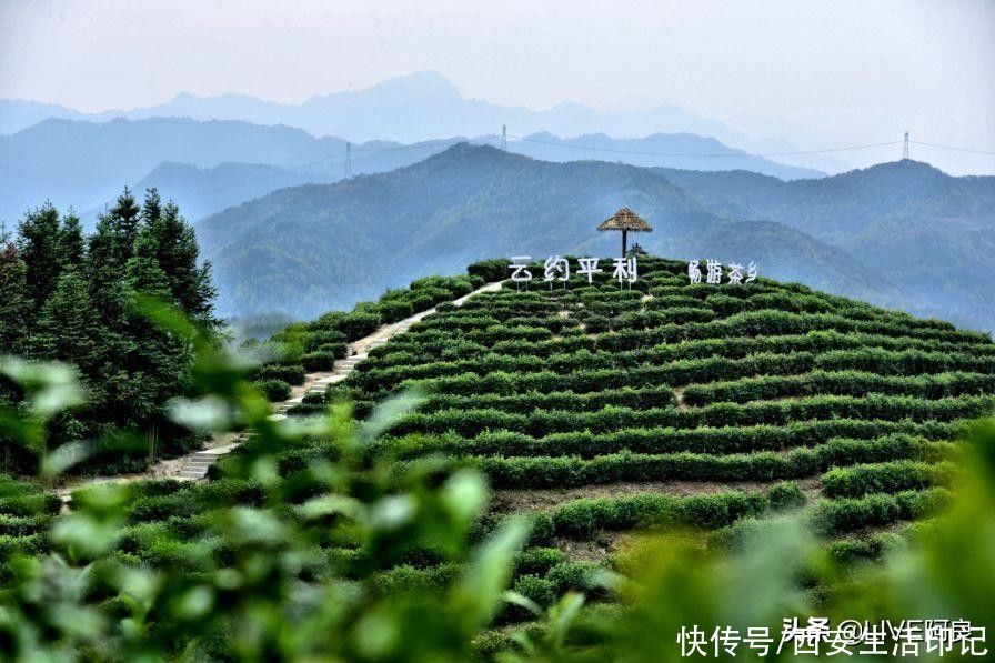 相约安康春来早，走进巴山岚皋最美平利体验美丽春天