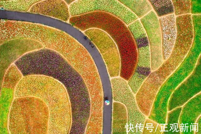 新昌大佛龙井|寻梦浙江