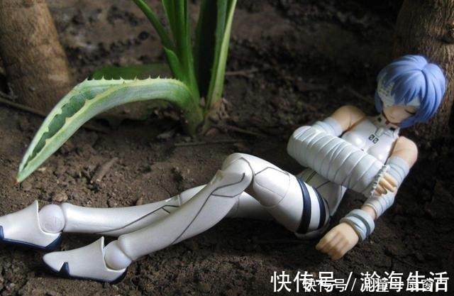 店家|手办店家玩不起,将头等奖藏起来,谁知宅男不差钱全部抽光