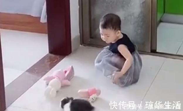 妹妹|哥哥写作业,妹妹总去打扰,谁想到连人带兔一起被哥哥撵了出来