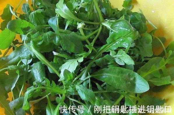天然|天然养肝菜出现了,医生每天炒一盘,肝脏越来越健康
