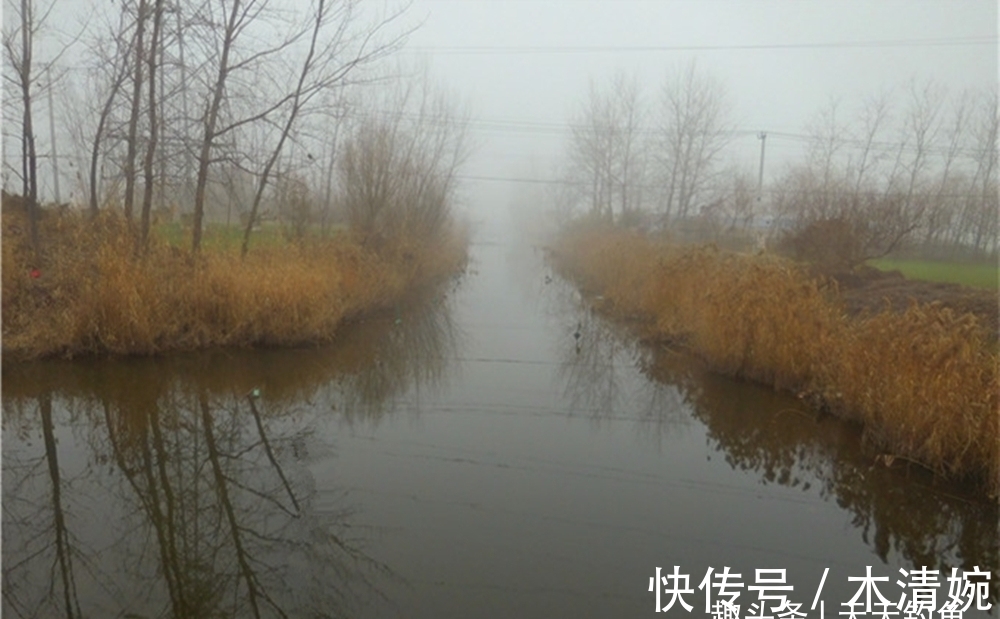 不做对比不知道,冬季钓鲫鱼,最好的天气不是晴天,而是这种天气