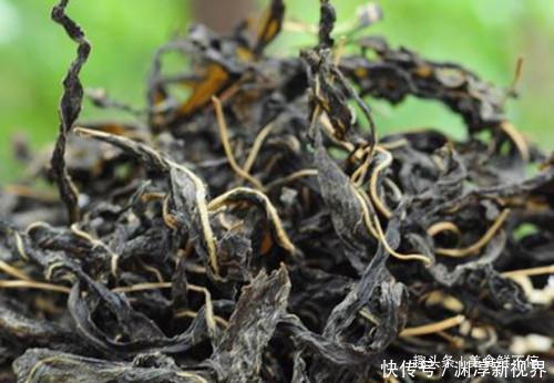 宝贝|有种菜,很多人就只吃种子,其实菜叶才是真宝贝,20一斤供不应求