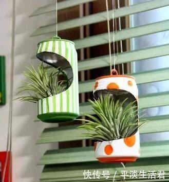 这些破烂不要扔,做成“小花盆”,个性又漂亮,比买的强“百倍”!