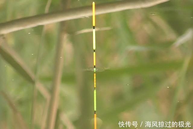 带钩调漂三步走找半水、找调目、找钓目,如此调漂稳、准、快