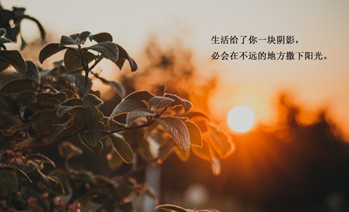 励志|励志句，经典励志句，自己选一句