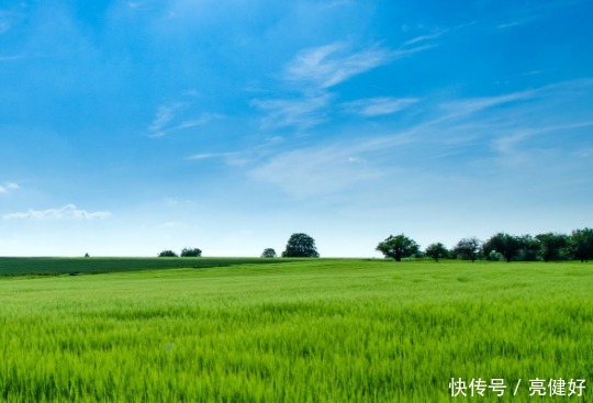 节气|小满节气养生,这两种食物多吃一点,既养生又养心。