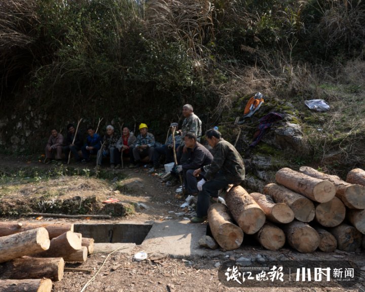 客房|在千岛湖畔 这支700人队伍守护着绿水青山