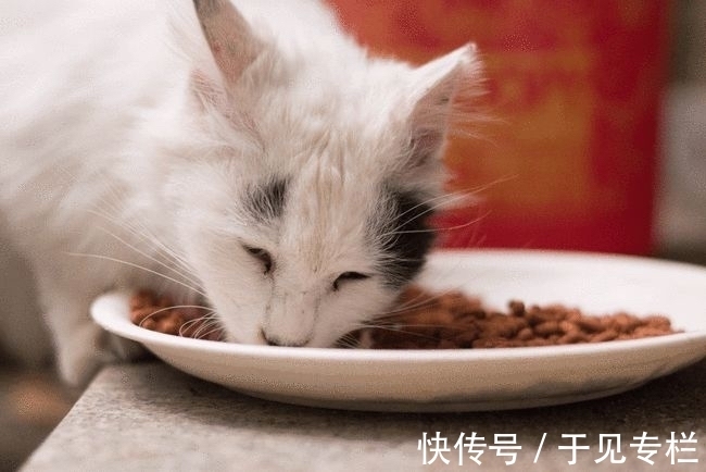 原料|华熙生物“万物皆可玻尿酸”,是实力挑战?还是收割“智商税”?