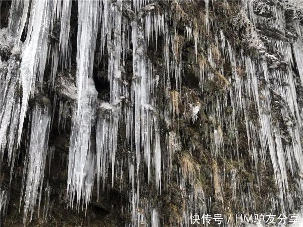 雅安多个景区下雪了！美景、美食一样也不少