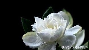 遥远的距离|做人,若是理不清这三种关系,人生会很苦