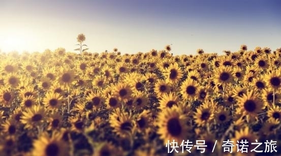 此生|7月，回首前任，入骨痴情，难以忘怀，此生所求，余生共白头