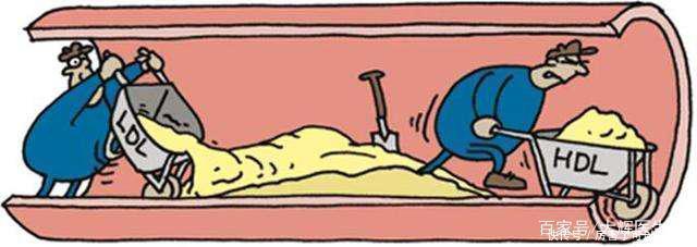 甘油三脂的“克星”找到了,不是洋葱,每天可劲吃,血脂稳稳降