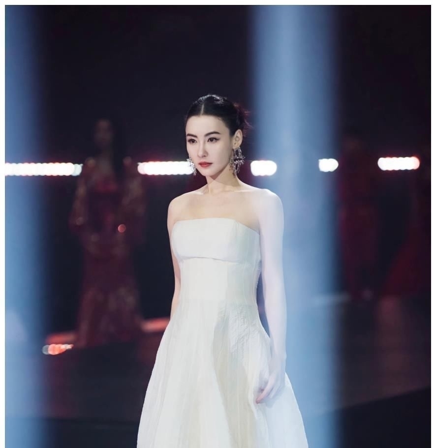 节目|即便美若天仙,舞台划水也不能忍,是张柏芝不努力吗?