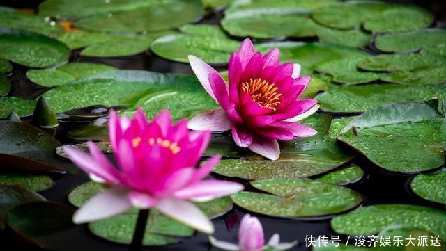 三伏至,想健康,以热逼寒,谨记“四怕”,不吃三饭、不睡三觉