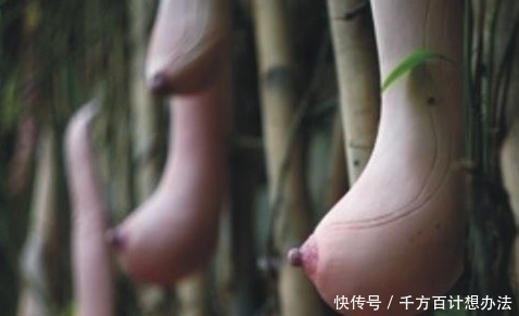 好吃|这几种水果很好吃,但也有它的奇葩之处,你见过吗?