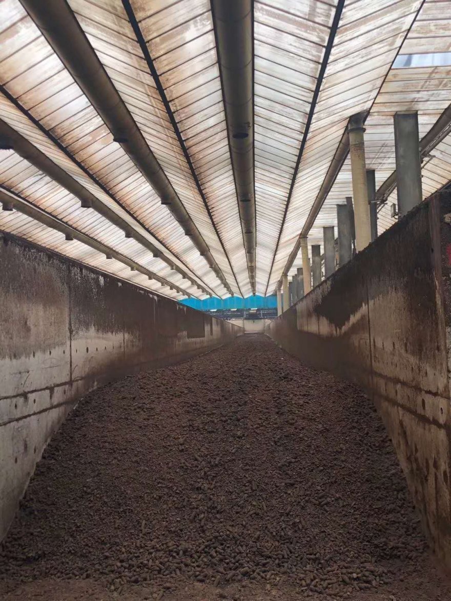 最好用的养花肥,盆里撒一把,1年不用换盆了