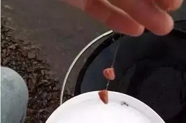 野钓想要狂拉鲫鱼,打窝、补窝的这些讲究,你必须要知道!