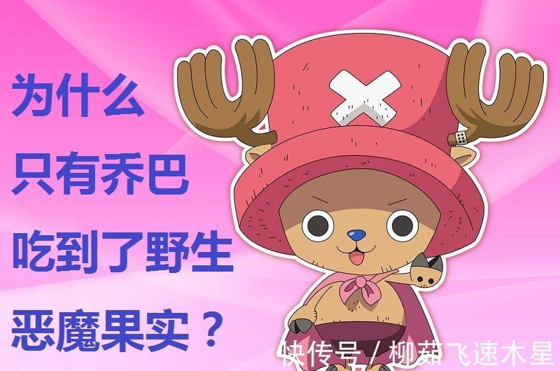 恶魔果实图鉴|海贼王三个理由证明恶魔果实是人工种植的,您可别不相信哦