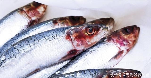 不管解冻什么鱼，用水泡就“废”了，记住2点，