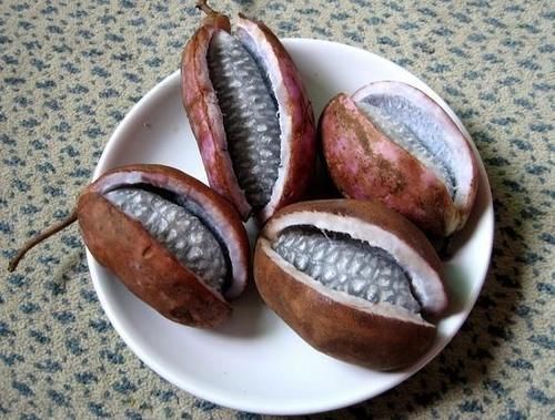 适合春季吃的四种食物,能使面部皮肤红润嫩白,去皱消斑