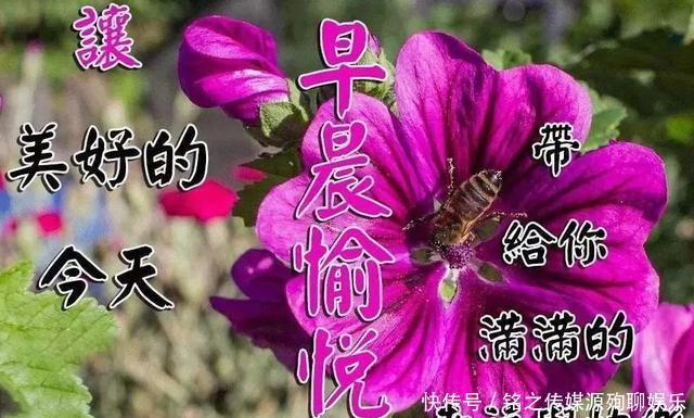 动态|早上好阳光暖心的祝福语动态图片,最新漂亮早上好动态表情图片