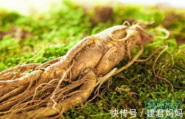 食物|孕期保胎不能吃哪些食物?这些禁忌你一定要知道!