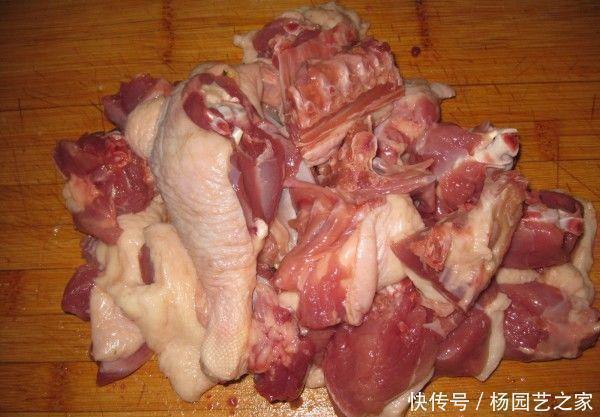 不管炖啥肉,记得加点它,半小时就炖熟,汤汁香浓,肉质软烂