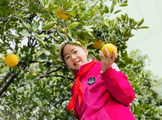 五年级|杭州春芽实验学校： “柚”遇见美好——春芽柚子节