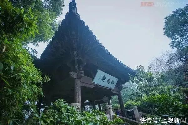 假山|拙政园、豫园、个园、沈园……长三角这些曲径通幽的园林，你去过几个？